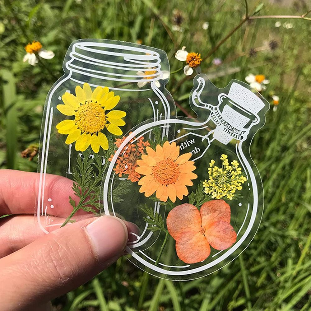 30Pcs Handmade DIY Transparent - Dried Flower Bookmark ulasan dan harga