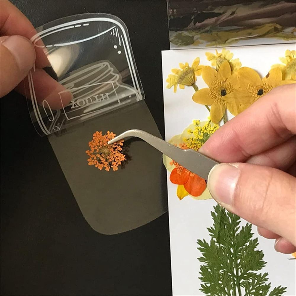 30Pcs Transparent Dried Flower - Dried Flower Bookmark ulasan dan harga